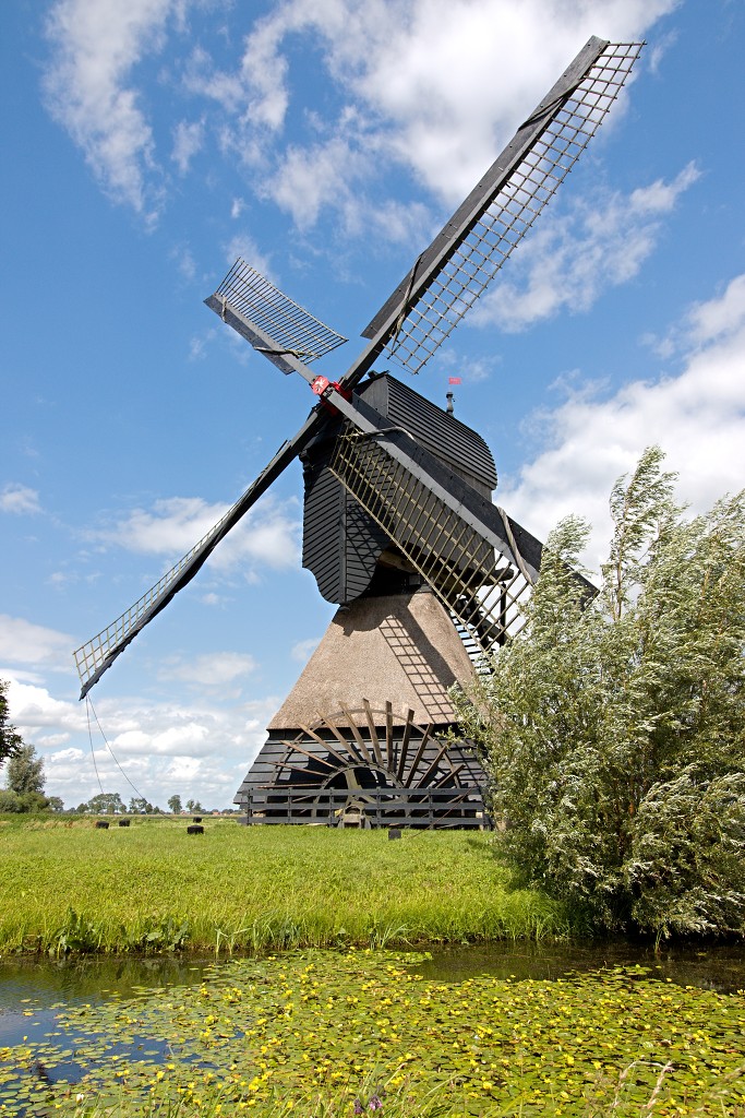 molen molens hdr erfgoed polder landschap windmolen windmolenpark windpark windmolens windturbine windenergie windturbines